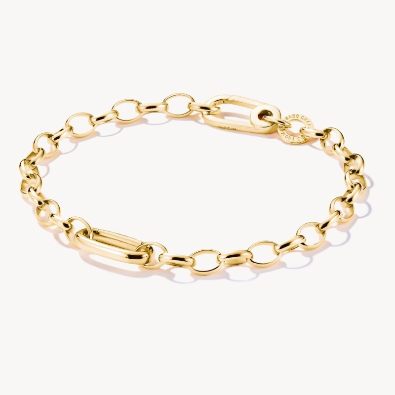Pulsera Charm con un Connect Link baño de oro