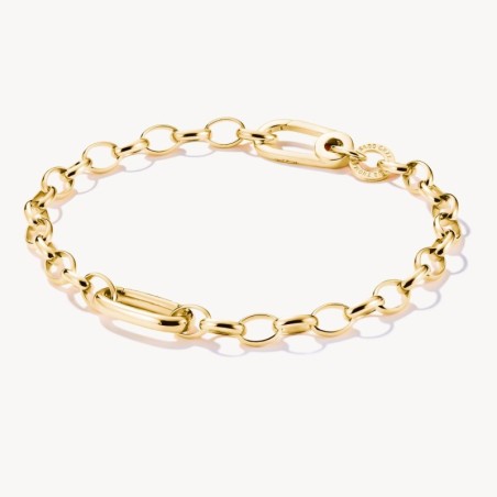 Pulsera Charm con un Connect Link baño de oro