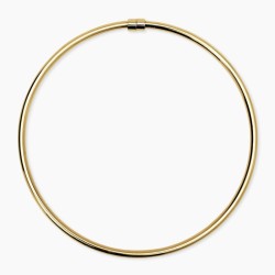 Gargantilla de acero dorado...