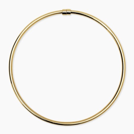 Gargantilla de acero dorado con cierre magnético.