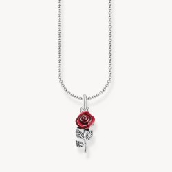 Cadena de plata con...