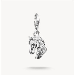Colgante Charm cabeza de...