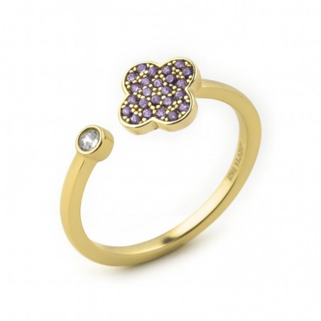 ANILLO ALSION